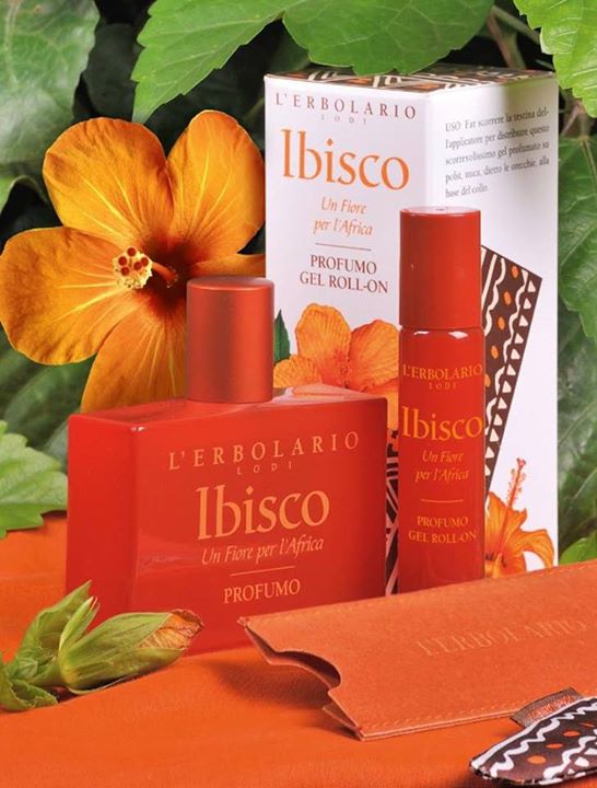 Ibisco